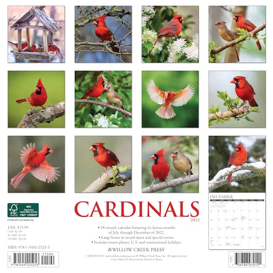 2023-cardinals-wall-calendar-wall-calendars-michaels